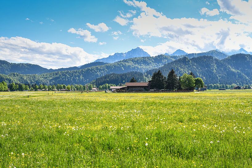 Wiese mit Bauernhof und den Alpen im Hintergrund von Robert Styppa