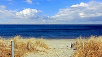 Toegang tot het strand in maart van Ostsee Bilder thumbnail