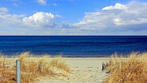 Levée de la plage en mars