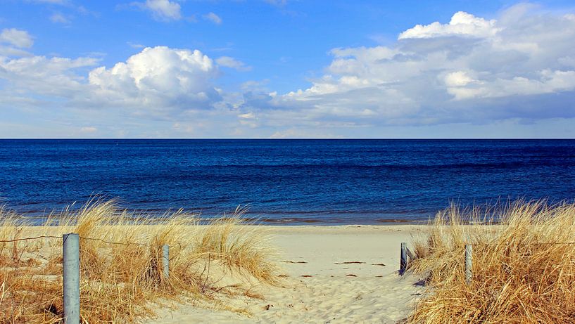 Toegang tot het strand in maart van Ostsee Bilder