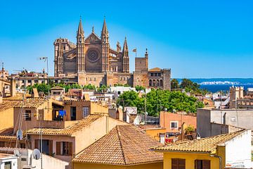 Uitzicht op de beroemde kathedraal La Seu in Palma de Mallorca, Spanje van Alex Winter