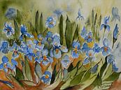 Blauwe Irissen van Rita Tielemans Kunst thumbnail