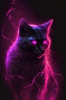 de kat