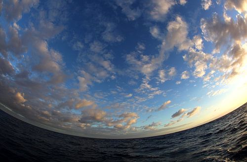 AARDE - of toch niet