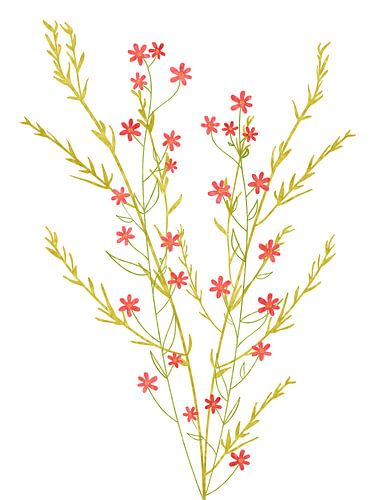Bloemen in minimalisme als drieluik 2 van 3