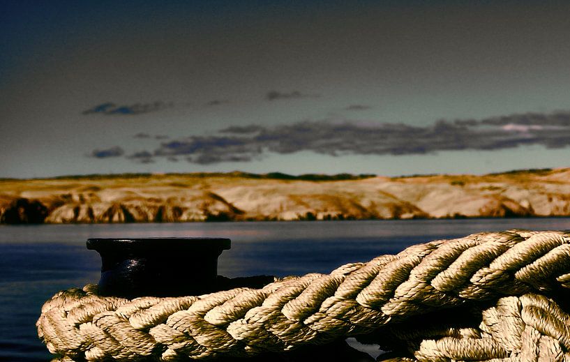 the rope by Monique crandel