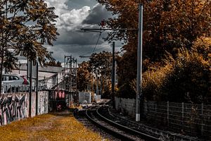 Gleisführung im Wandel – Straßenbahnschienen im urbanen Naturraum