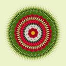 bloemenkrans van Klaartje Majoor thumbnail