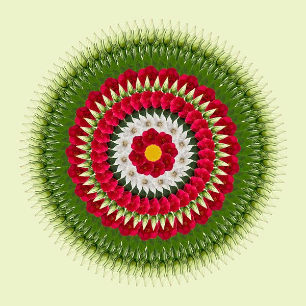 bloemenkrans van Klaartje Majoor