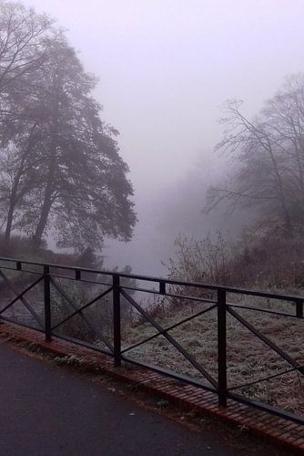 Mistige ochtend, Zuiderpark