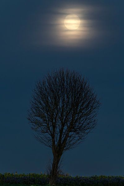 Supermond von Stephan Zaun