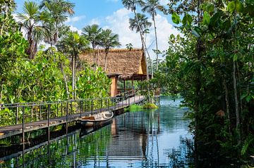 Forêt amazonienne en Équateur sur Nancy Pauwels Photo