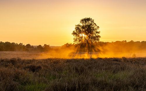 Sunset on the North Heath.