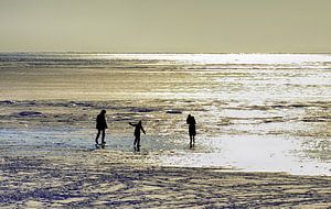 Bevroren Waddenzee 