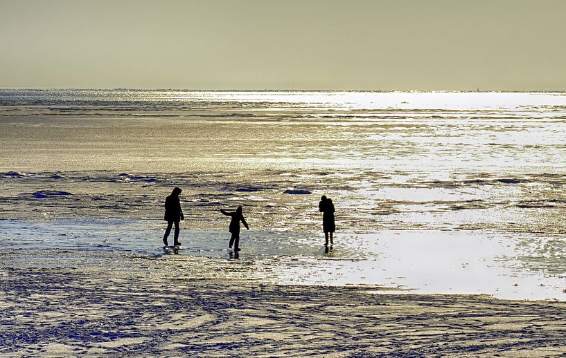 Bevroren Waddenzee  van Sidney Portier