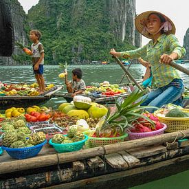 commerce dans la baie d'Halong, Vietnam sur Jan Fritz