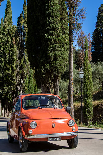 Fiat 500 at Cipres