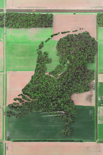 Luchtfoto van Bos in Vorm van Nederland - Uniek Landschapskunstwerk met Hollandse Vlakten