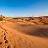 Footprints in Desert Sands, Abu Dhabi by Nancy Pauwels Photo