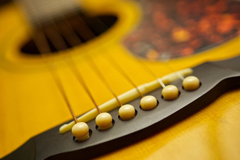 Guitar String II by Iris Holzer Richardson