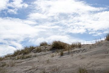 Dünen in der Nähe des Strandes von s'-Gravenzande