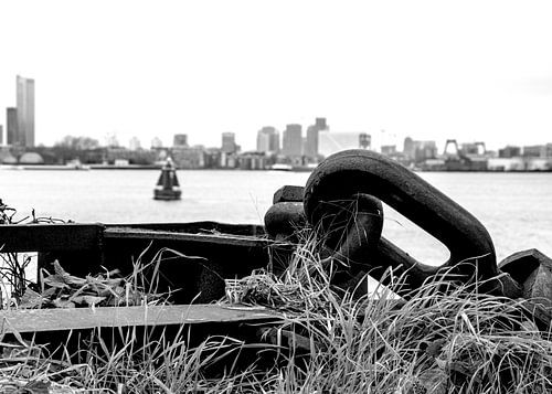 Skyline  Rotterdam vanaf eiland van eiland Brienenoord