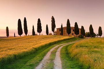 Landhuis met cipressen, Toscane, Italië van Markus Lange