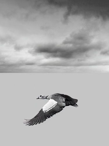 diptych