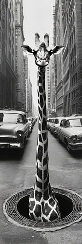 Girafe en ville sur Poster Art Shop