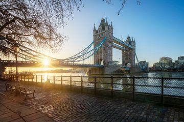 Tower Bridge in London von Dieter Meyrl