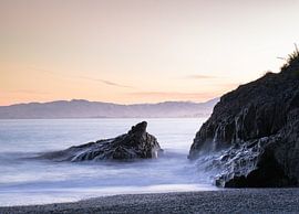 x von Tom in 't Veld