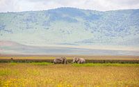 Olifanten in Ngorongoro krater van Leon van der Velden thumbnail