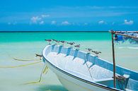 Möwen auf einem weißen Boot mit blauem Himmel in Isla Holbox, Mexiko von Michiel Dros Miniaturansicht