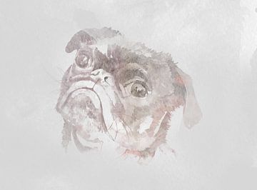 Watercolor of a pug for industrial interior with concrete look
