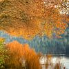 Herfst aan het Baldeney-meer in het Ruhrgebied van Michael Valjak
