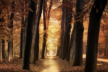The endless path