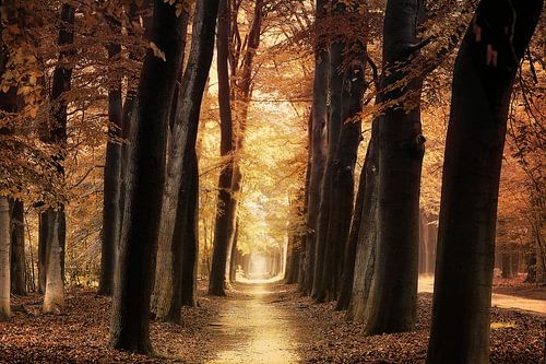 The endless path
