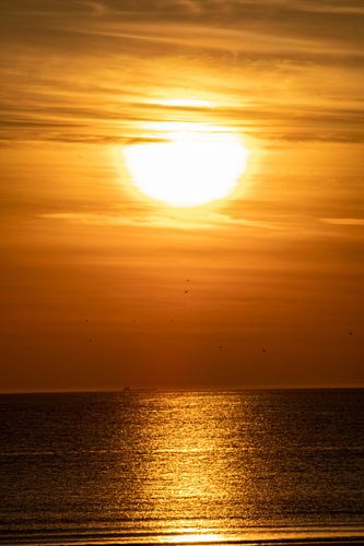 Sonnenuntergang Maasvlakte Rotterdam mit Nordsee