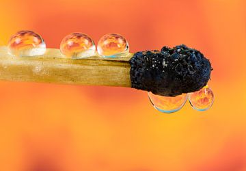 Gedoofde lucifer met waterdruppels waarin het vuur wordt gereflecteerd van ManfredFotos