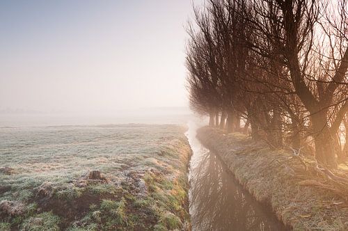 Misty Morning at Leidschendam - 2