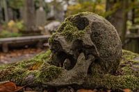 cemetery of the skull