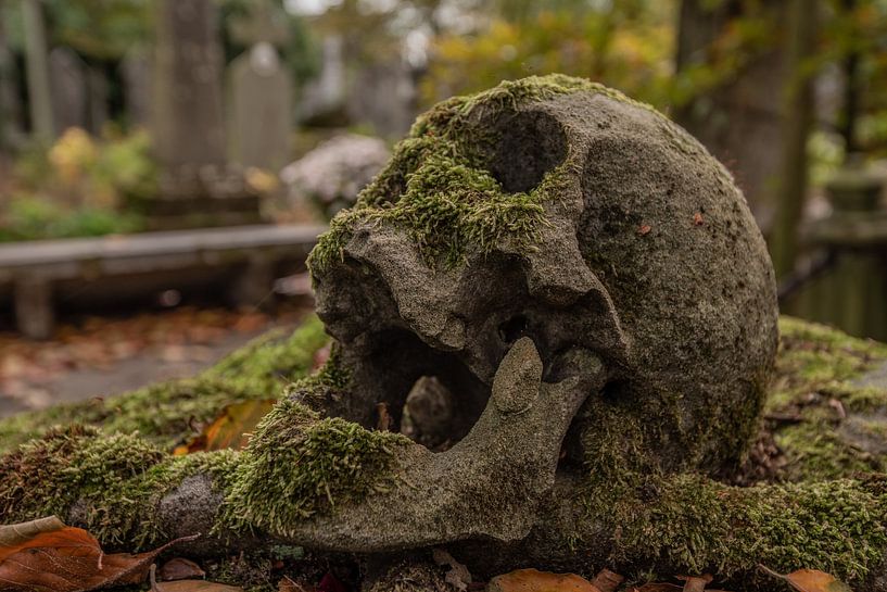 cemetery of the skull van serge baugniet