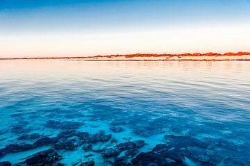 Hamelin Pool, West-Australië van Hilke Maunder