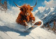 Scottish Highland cattle by Niklas Maximilian thumbnail
