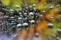 Regendruppels op het raam / Raindrops on a window van Henk de Boer thumbnail