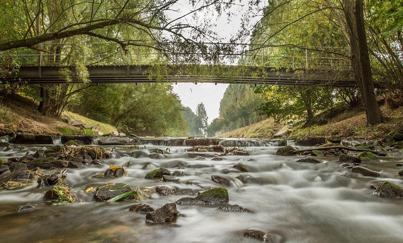 water flow by leon mulder