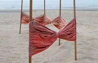 The Beach