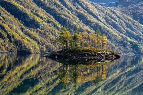 Røldalsvatnet – Spiegel van Rust en Schoonheid