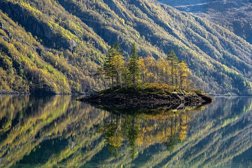 Røldalsvatnet - Miroir de tranquillité et de beauté par Gerry van Roosmalen