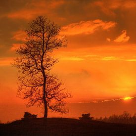 Appelscha - zonsondergang Kale Duinen | Aekingerzand von Meindert van Dijk